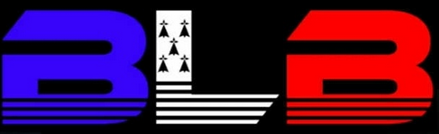 LOGO Boxe et loisir de bretagne